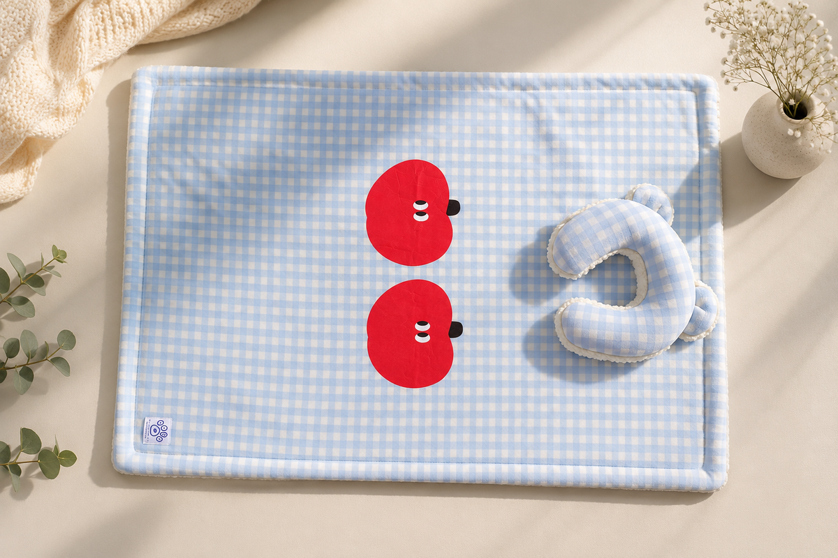 Gingham Blanket Pillow Duo
