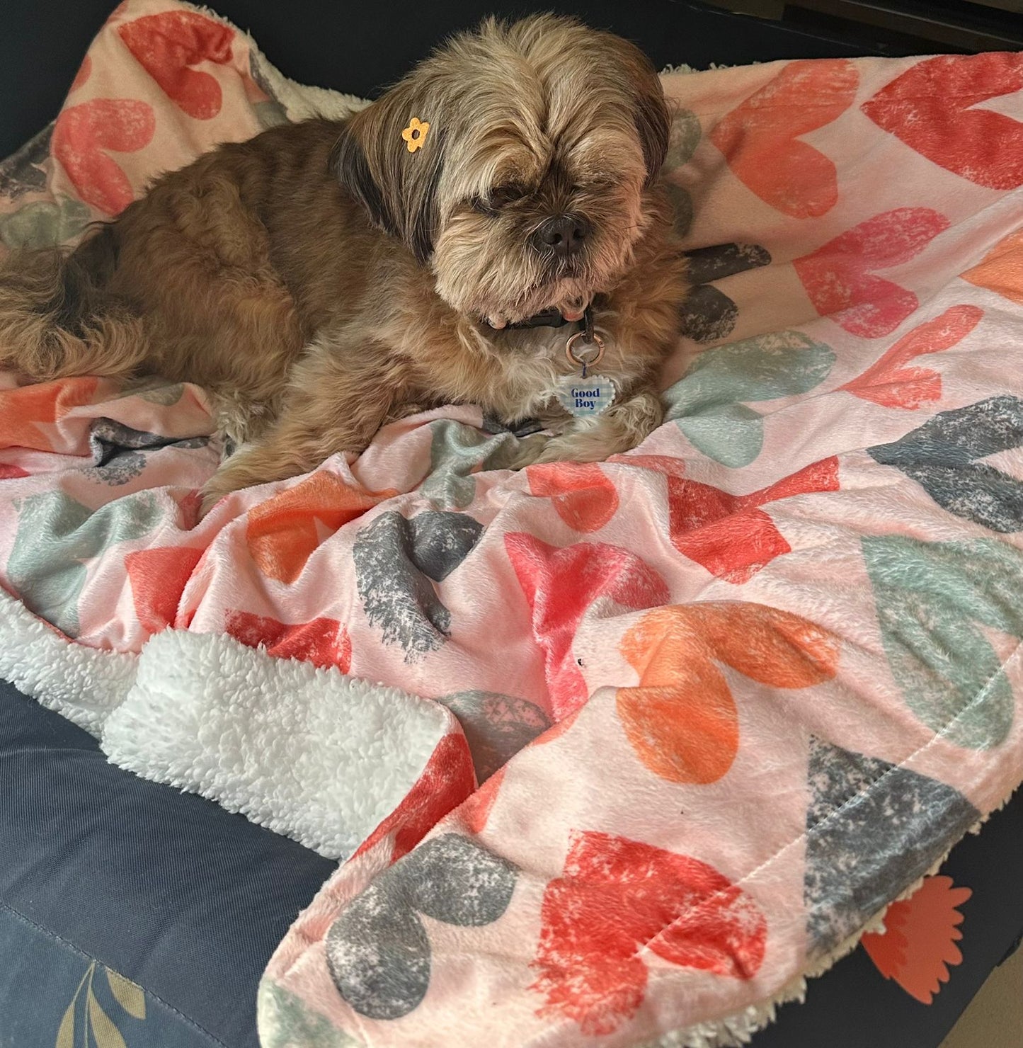 In Love Blanket