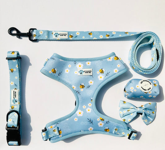Busy Bee Walk Set