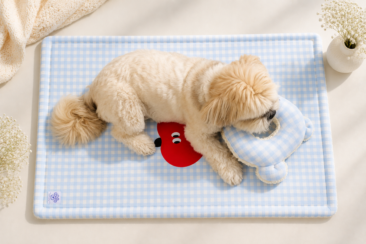 Gingham Blanket Pillow Duo