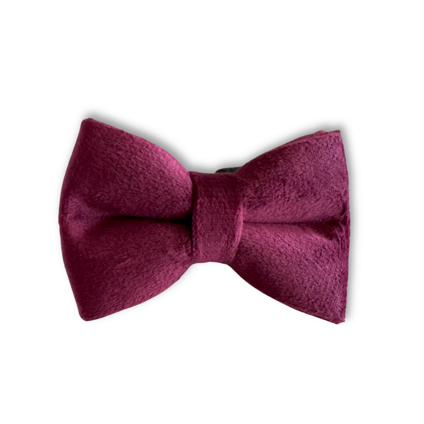 Velvet Cat Collar and Bowtie Set  — Wine Red