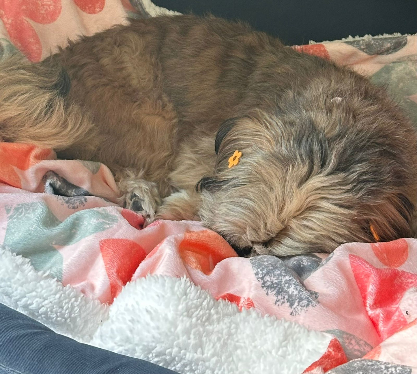 In Love Blanket