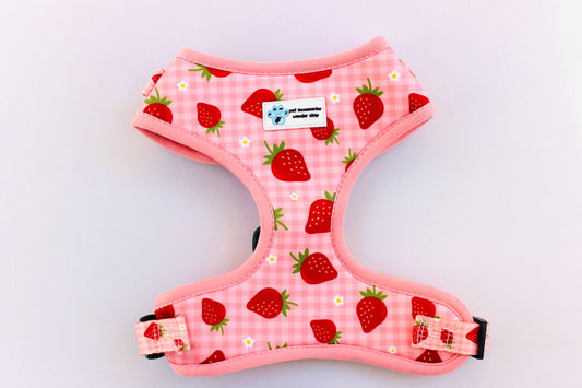 Berry cute harness